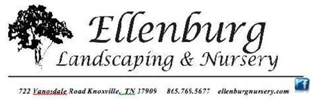Ellenburg 